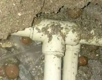 饶平测漏水多少钱