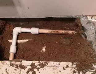 饶平测漏水哪家好