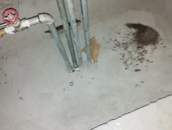 饶平卫生间测漏水价格明细