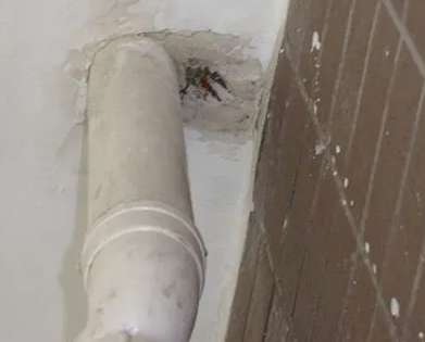 饶平漏水检测哪家好